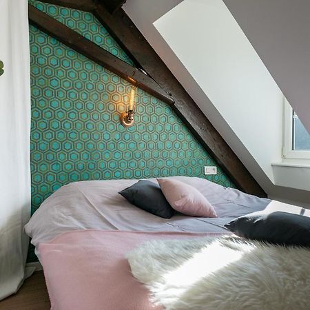 Strasbourg Mon Amour - Cozy - Rbnb Εξωτερικό φωτογραφία